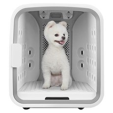 최고의 선택 펫드라이룸 추천 아이템 탑 5 최고의 선택 펫드라이룸 추천 아이템 탑 5