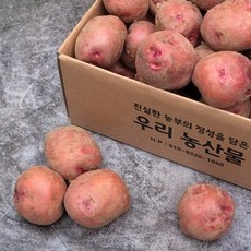 ◀ 2024년 인플들이 추천하는 가성비▶ 홍감자 추천 정보 리스트 5