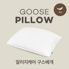 ◀ 2024년 후기로 대박난 행복한 선택▶ 알레르망구스베개 할인 상품 리스트 9 ◀ 2024년 후기로 대박난 행복한 선택▶ 알레르망구스베개 할인 상품 리스트 9