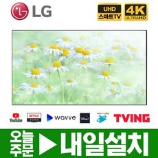 인플들이 추천하는 제품, 믿고 샀어요. lg77인치올레드 할인 상품 BEST 5