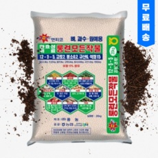 세일 완효성비료 추천 정보 리스트 5