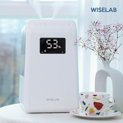 후기로 대박난 제품, 정말 좋아요. 와이즈랩복합식가습기 추천 상품 리스트 5