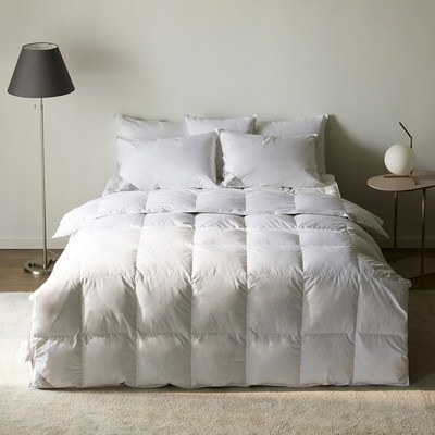 이 제품 정말 좋아요, 살만해요. 헬렌스타인 할인 아이템 탑 5