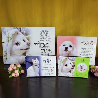 다시 구매할게요, 정말 좋아요. 위패고양이 인기 상품 리스트 7