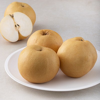 ◀ 2025년 믿고쓰는 혜자템▶ 이봉주제기세트 인기 정보 BEST 8